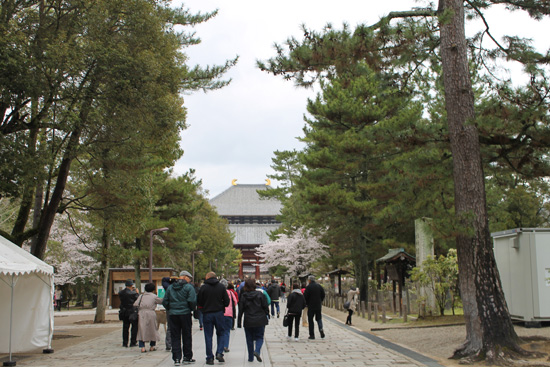 todaiji3